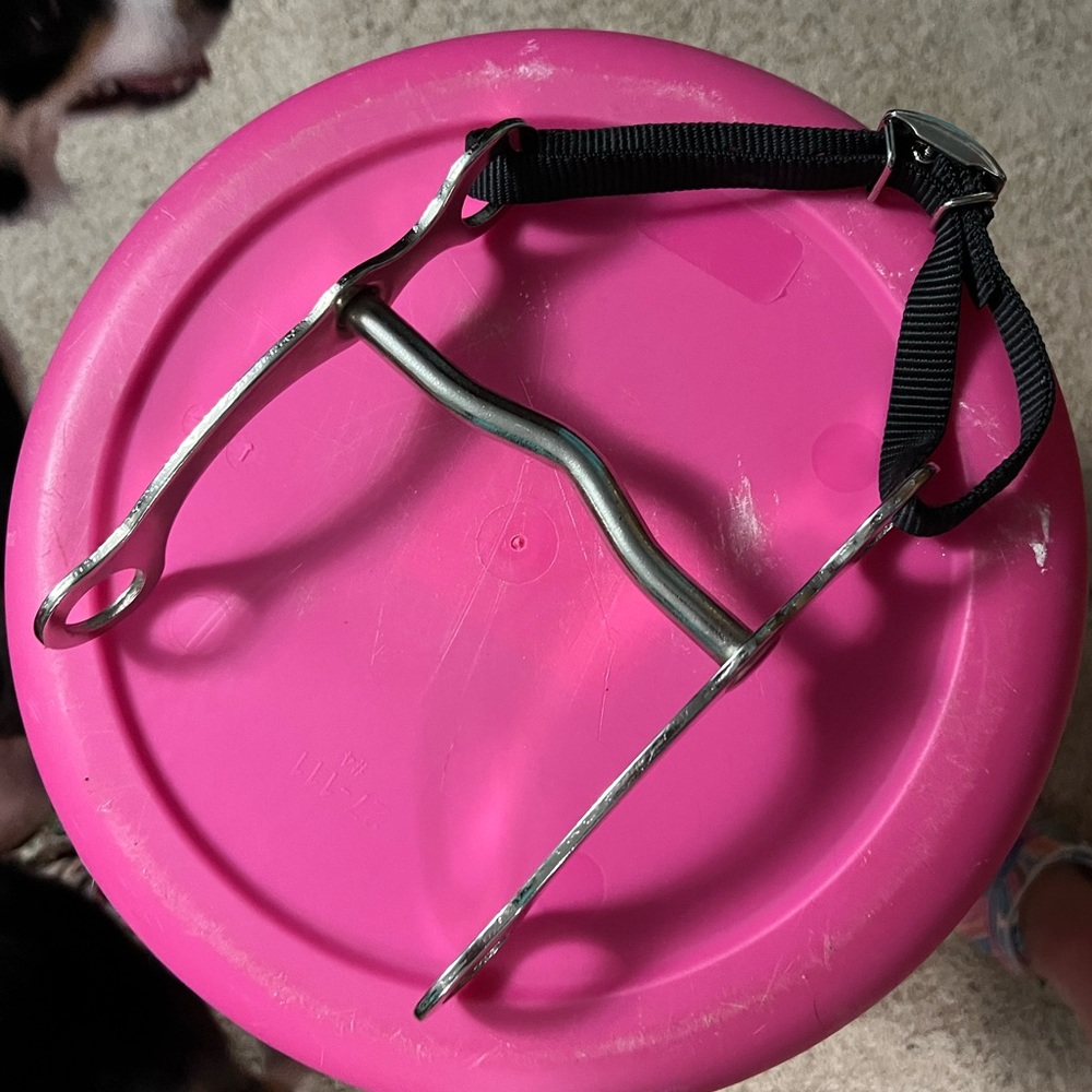 Grazing port curb bit